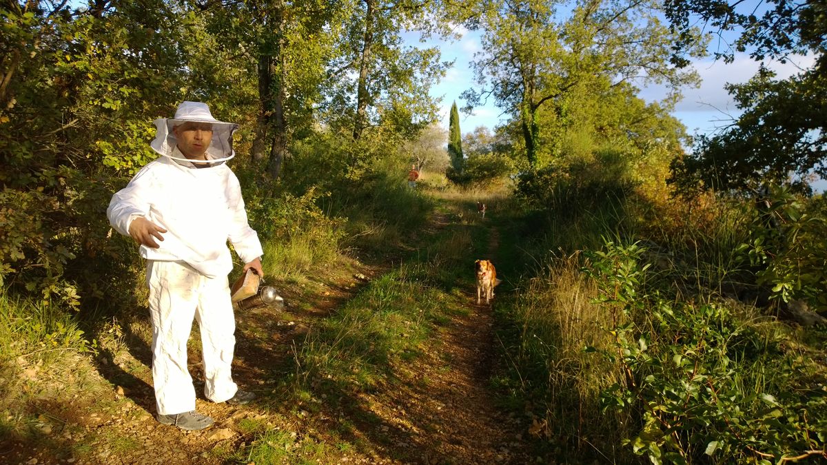 l'image à été prise au couché du soleil sur un route paysan