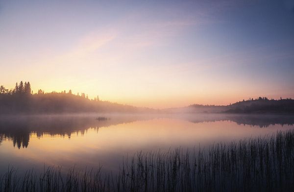 michael-schaake.jpg michael-schaake.jpg