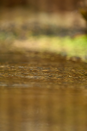 fotografía en modo silencioso